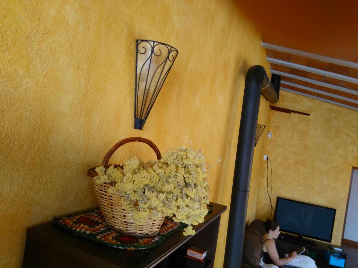 Ca Lhortensia Villa Rourell Dış mekan fotoğraf